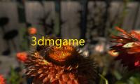 3dmgame